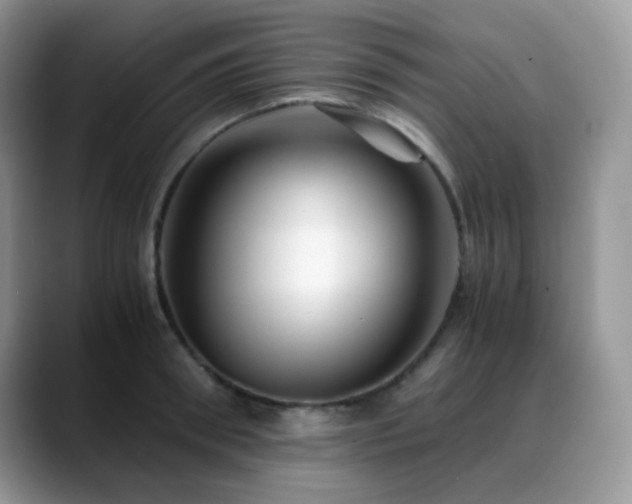X0000088910898200706081339