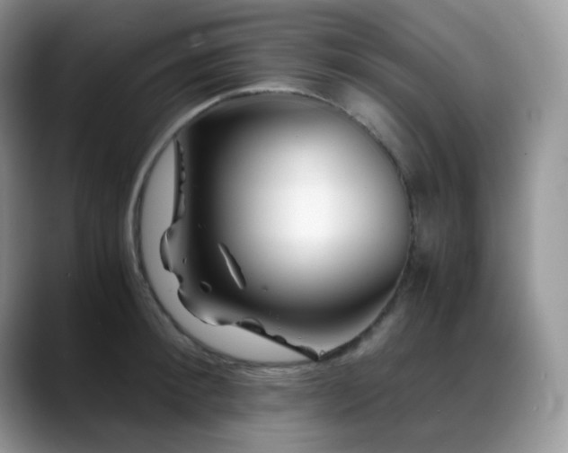 X0000088910900200706081339