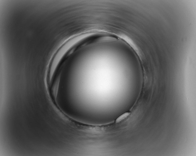 X0000088910901200706081339