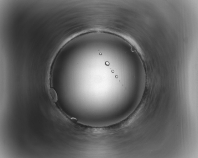 X0000088910903200706081339