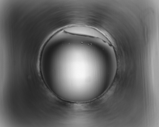 X0000088910904200706081339