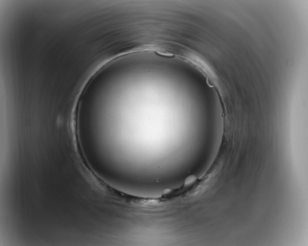 X0000088910907200706081339