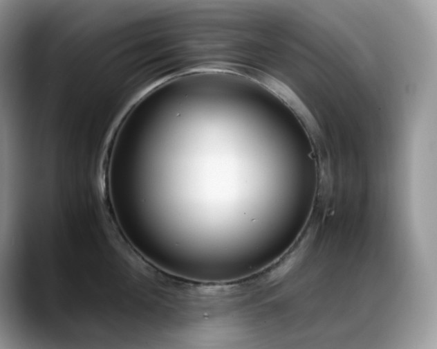 X0000088910908200706081339
