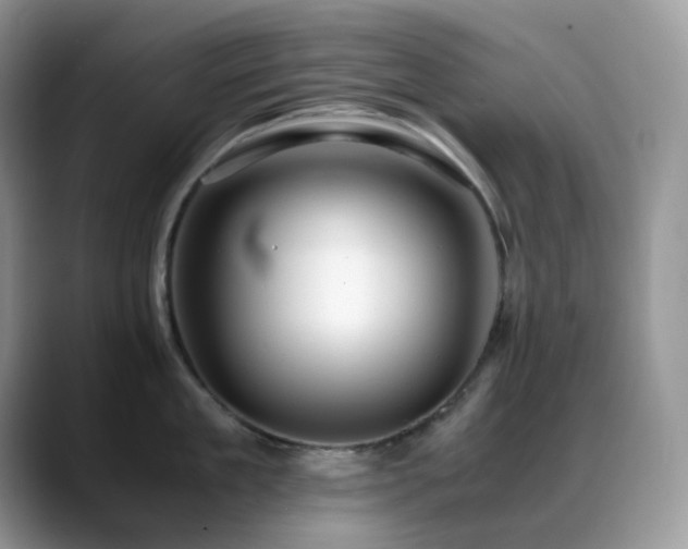 X0000088910909200706081339