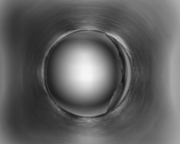 X0000088910910200706081339