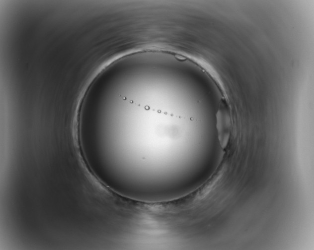 X0000088910911200706081339