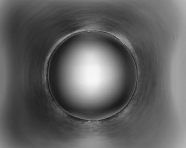 X0000088910912200706081339