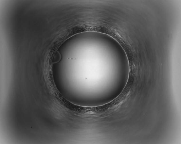 X0000088910913200706081338