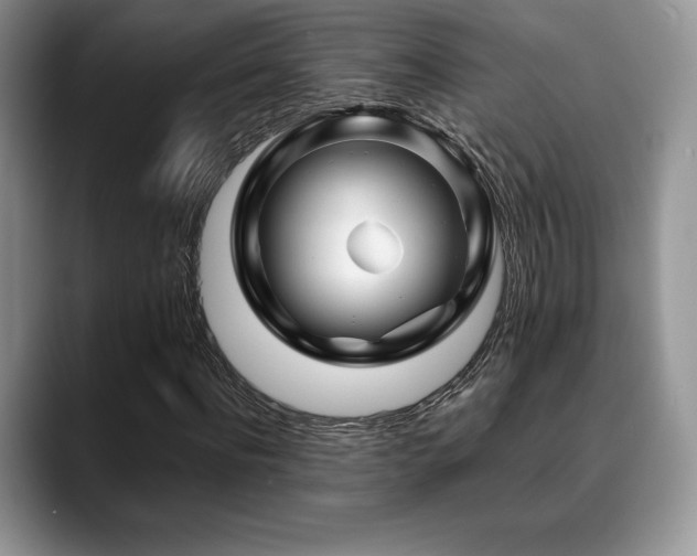 X0000088910916200706081338