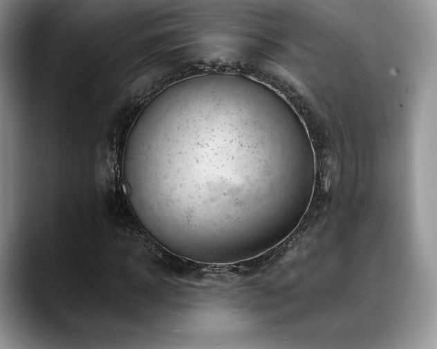 X0000088910918200706081338