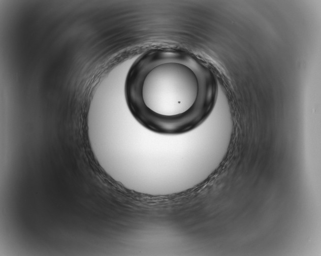 X0000088910920200706081338
