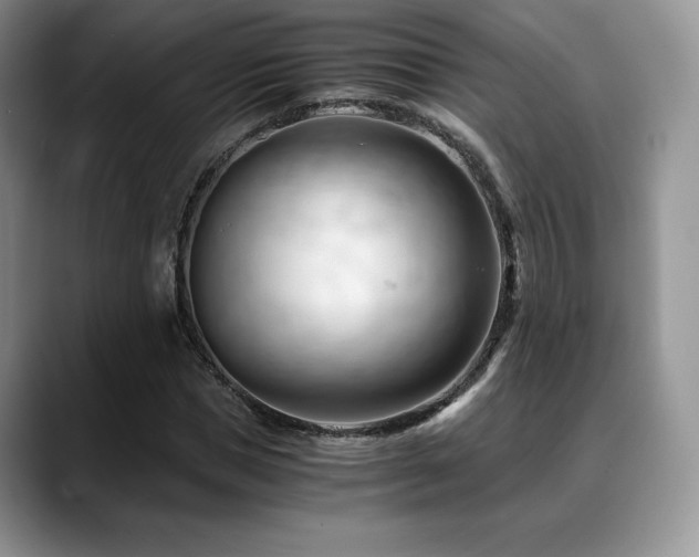 X0000088910921200706081339