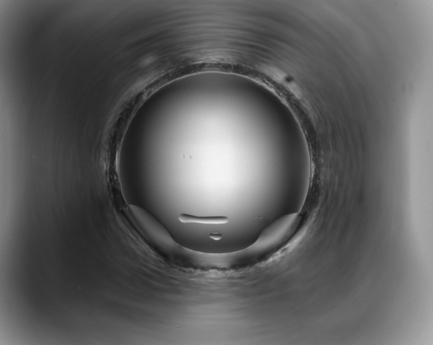 X0000088910922200706081339
