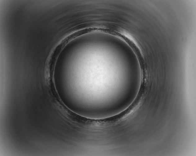 X0000088910923200706081339