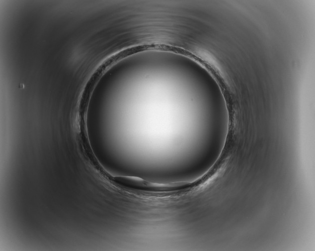 X0000088910924200706081339