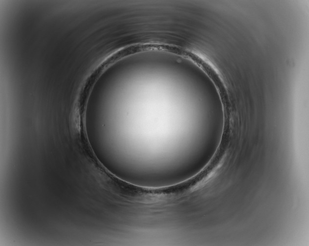 X0000088910925200706081339