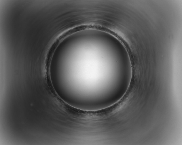 X0000088910927200706081339