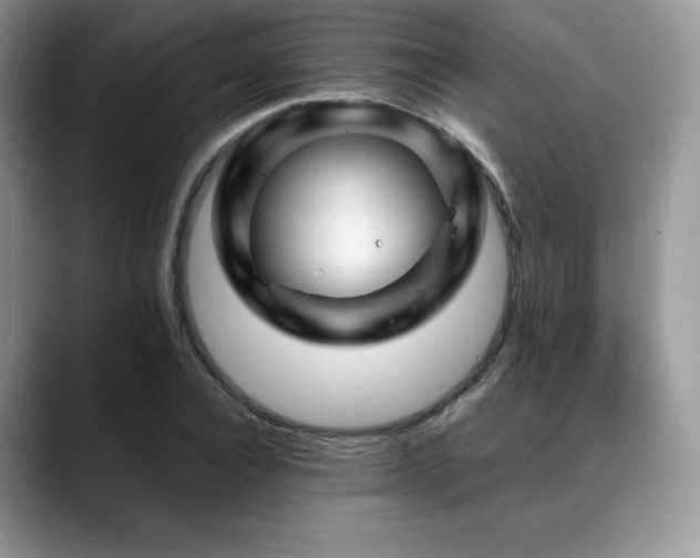 X0000088910928200706081339