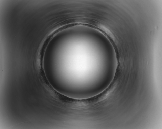 X0000088910931200706081339