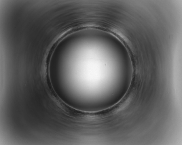 X0000088910933200706081339