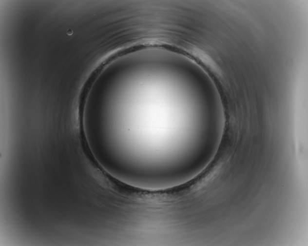 X0000088910934200706081339