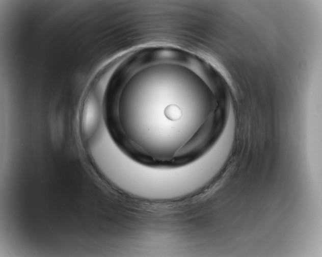 X0000088910936200706081339
