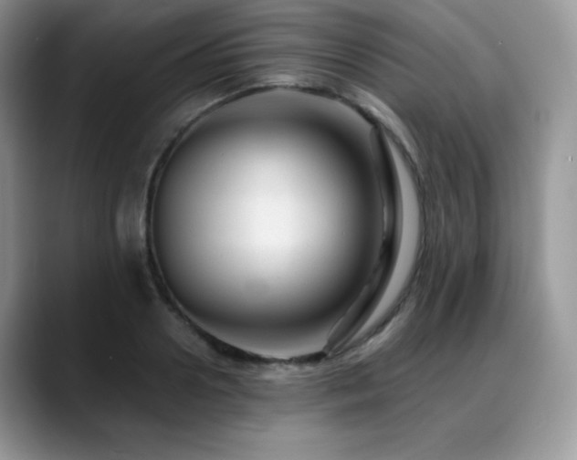 X0000088910938200706081339