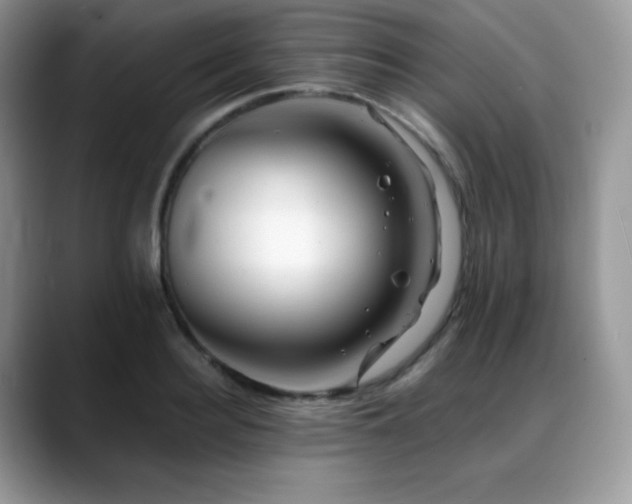 X0000088910940200706081339