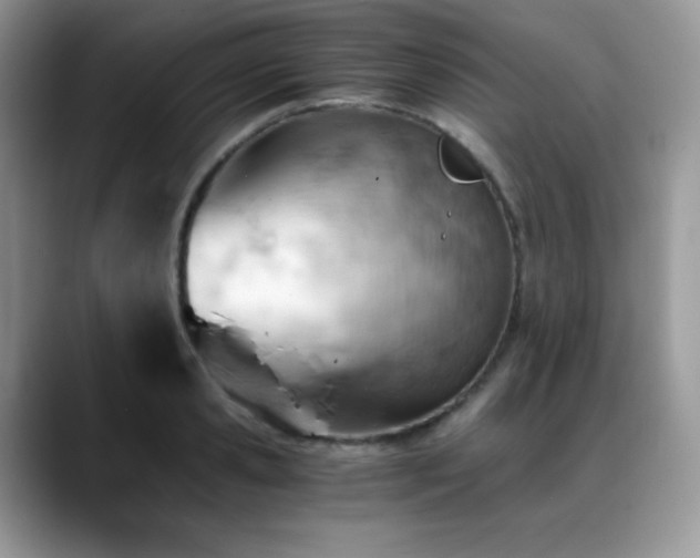 X0000088910941200706081339