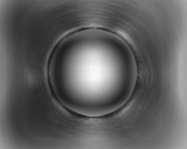 X0000088910942200706081339