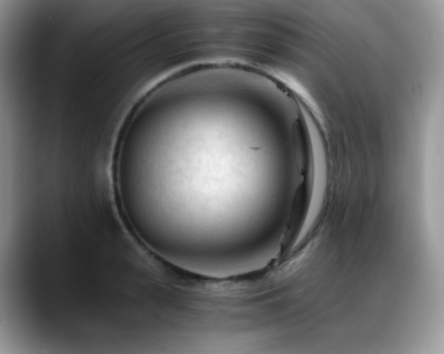 X0000088910943200706081339