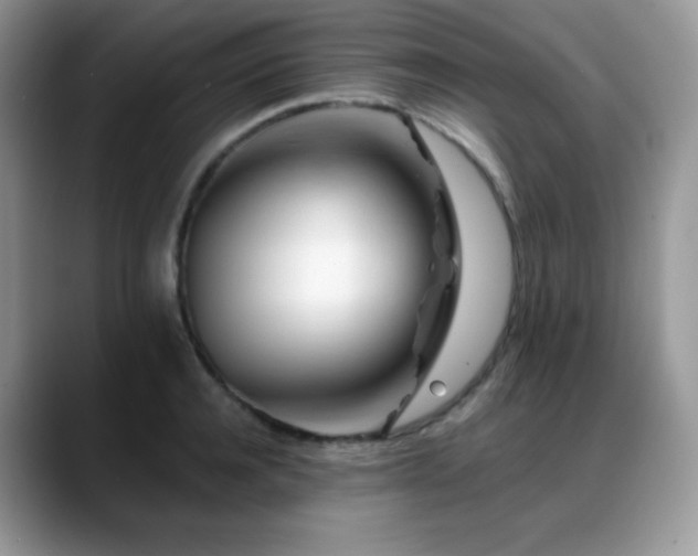 X0000088910944200706081339