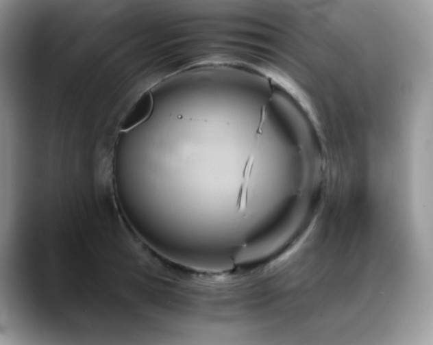 X0000088910945200706081339