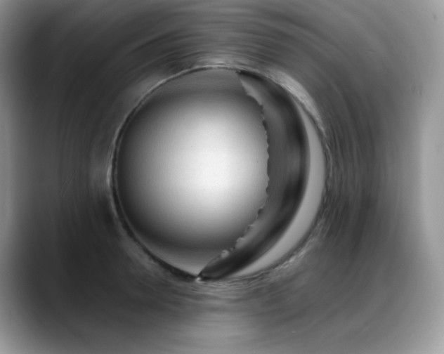 X0000088910946200706081339