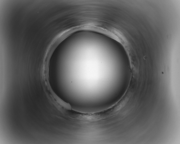 X0000088910948200706081339