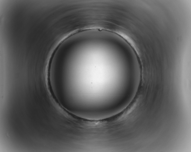 X0000088910949200706081339