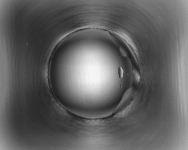 X0000088910952200706081339