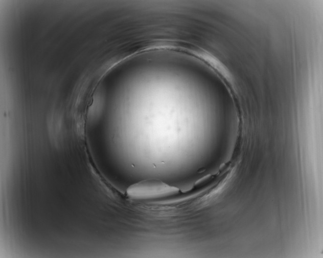 X0000088910953200706081339