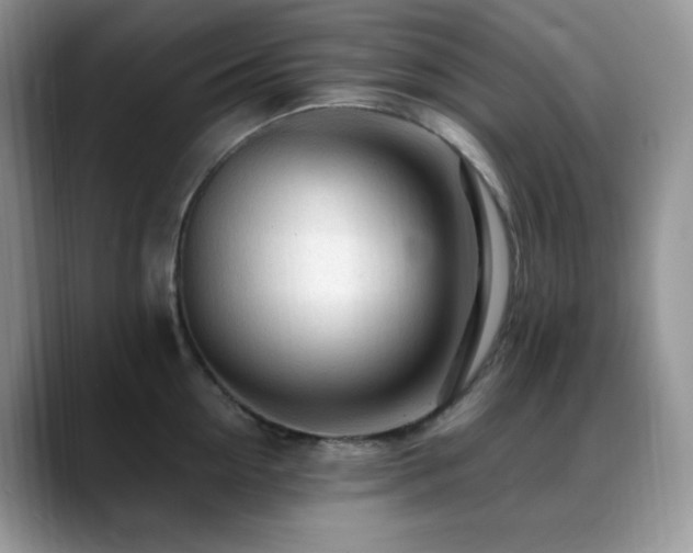 X0000088910954200706081339