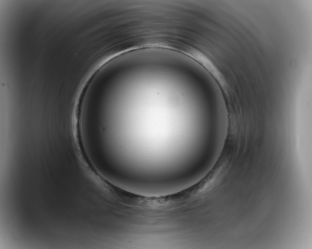 X0000088910955200706081339