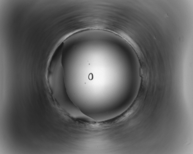 X0000088910956200706081339