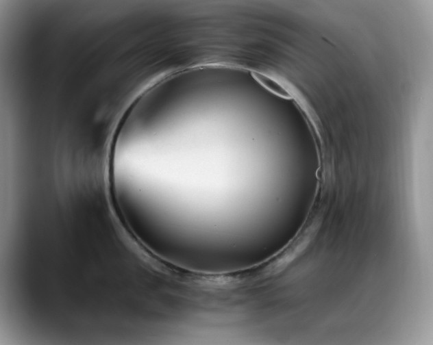 X0000088910957200706081339