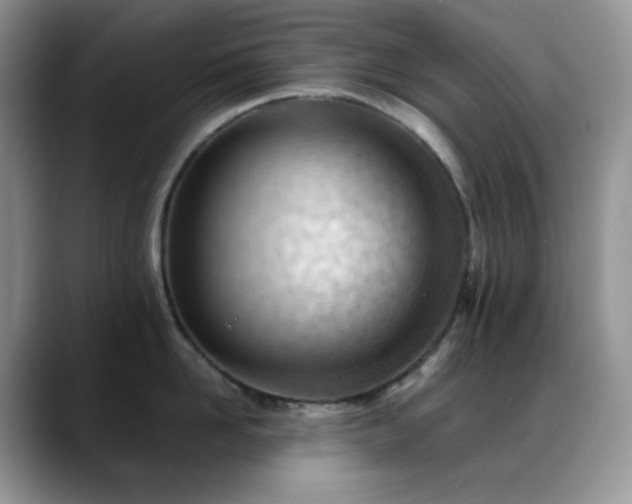 X0000088910958200706081339