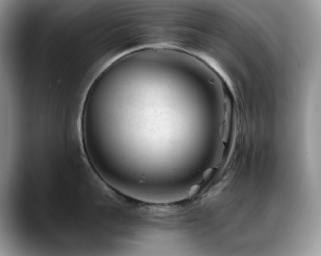 X0000088910959200706081339