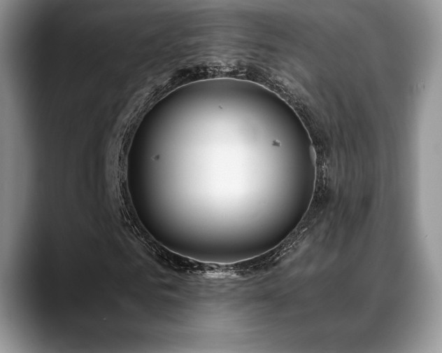 X0000088910961200706081338