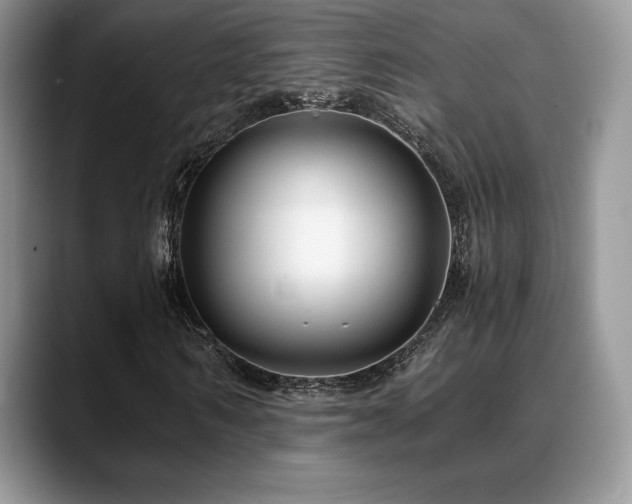 X0000088910962200706081338