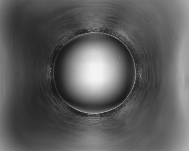 X0000088910964200706081338