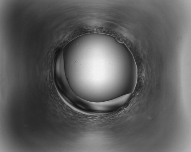 X0000088910965200706081338
