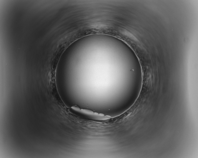 X0000088910966200706081338