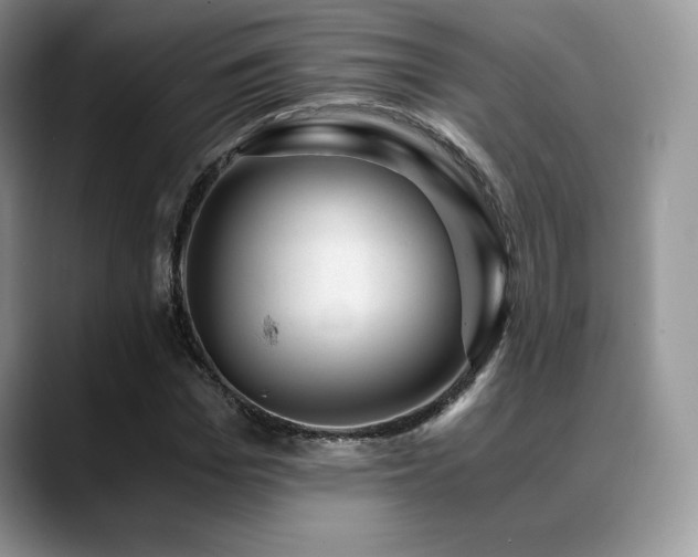 X0000088910969200706081338